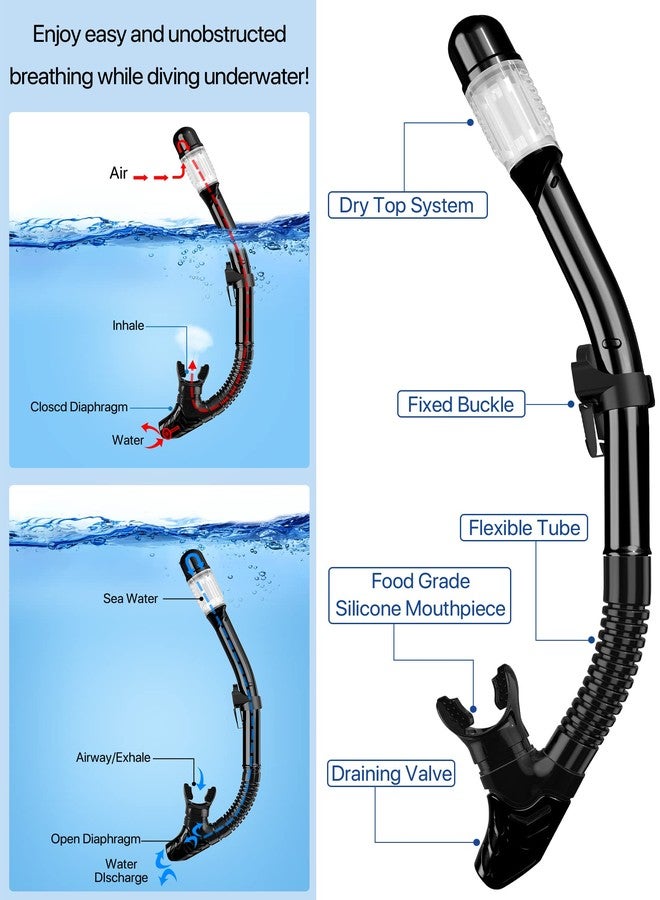 Delavala Adult Snorkeling Kit (Black - L-XL ) - Mask & Dry Snorkel - Quality Equipment for Discovering The Underwater World - Image 3