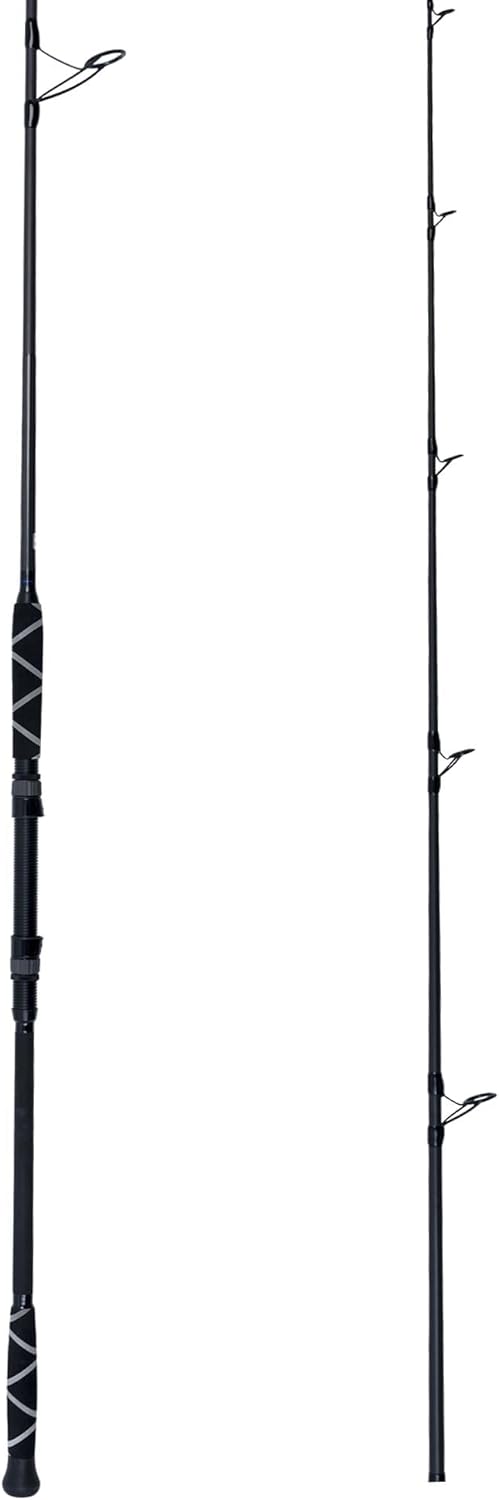 عصي فينيكس بلاك دايموند للصيد 110 2 قطعة 2045 رطل تصنيف خط 3080 رطل خط ضفيرة 310 أوقية وزن الطعم مقاعد بكواغ من فوجي مقاعد بكواغ من فوجي مقبض EVA مخصص من فينيكس