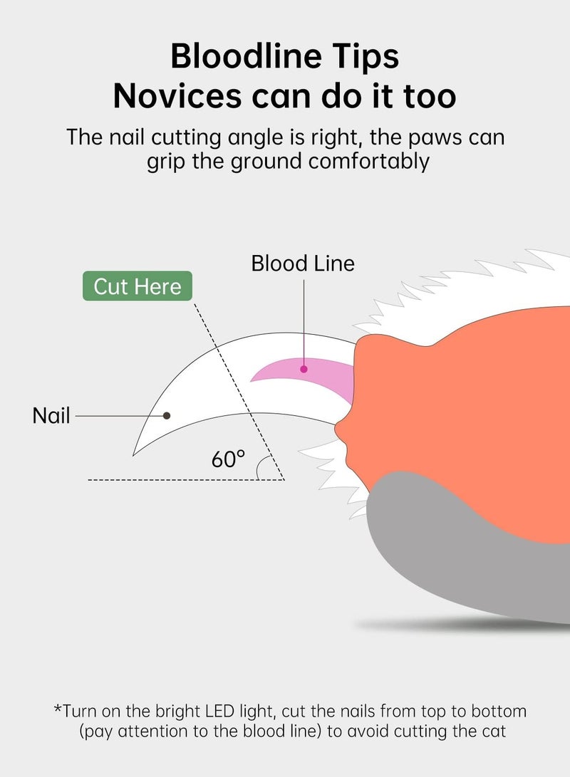 SOLARAE Dog Cat Pet Nail Clippers,Pet Nail Clipper with Two-Speed Ultra Bright LED Light for Nail Bloodline to Preventing Over Cutting, With Hidden Nail File - Image 4