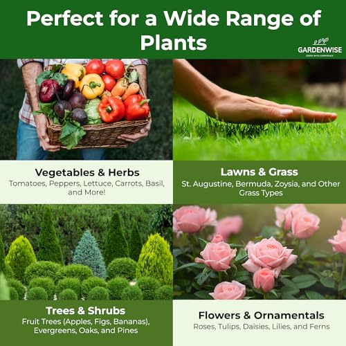 GARDENWISE 10-10-10 Plant Fertilizer Slow Release - 10 10 10 All Purpose Granular Garden Fertilizer for Vegetables, Tomato, Arborvitae, Shrubs, Rose, Flowers, Fruit, Fig Trees (1 Quart) - Image 3