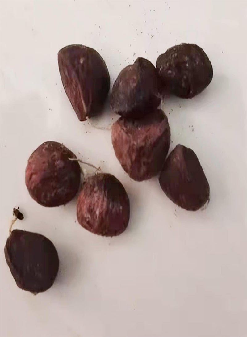 جي جوت كيس واحد من بذور الديوسكوريا، بذور طازجة ومغذية، بذور نباتات منزلية طازجة، بذور حديقة - Image 3