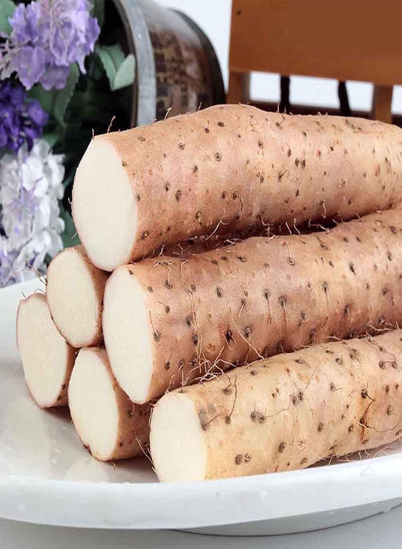 جي جوت كيس واحد من بذور الديوسكوريا، بذور طازجة ومغذية، بذور نباتات منزلية طازجة، بذور حديقة - Image 2