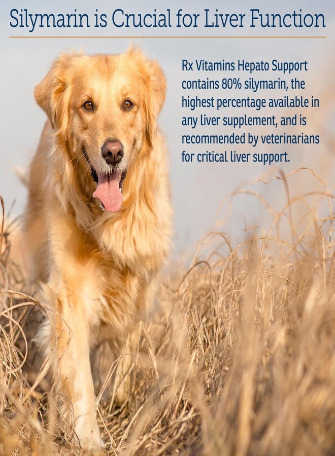 ركس فيتامينز مكمل غذائي سائل لدعم صحة الكبد من آر إكس فيتامينز - مكمل غذائي سائل لدعم صحة الكبد مع خلاصة شوك الحليب - مكمل غذائي للكلاب مدعم بفيتامين ب المركب - بنكهة الدجاج (4 أونصة) - Image 5