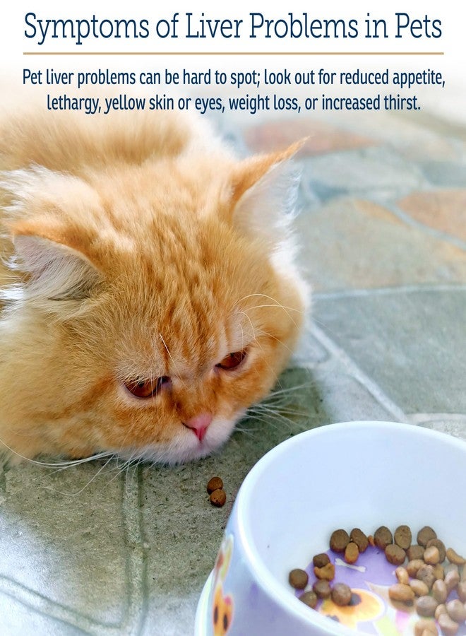 ركس فيتامينز مكمل غذائي سائل لدعم صحة الكبد من آر إكس فيتامينز - مكمل غذائي سائل لدعم صحة الكبد مع خلاصة شوك الحليب - مكمل غذائي للكلاب مدعم بفيتامين ب المركب - بنكهة الدجاج (4 أونصة) - Image 4