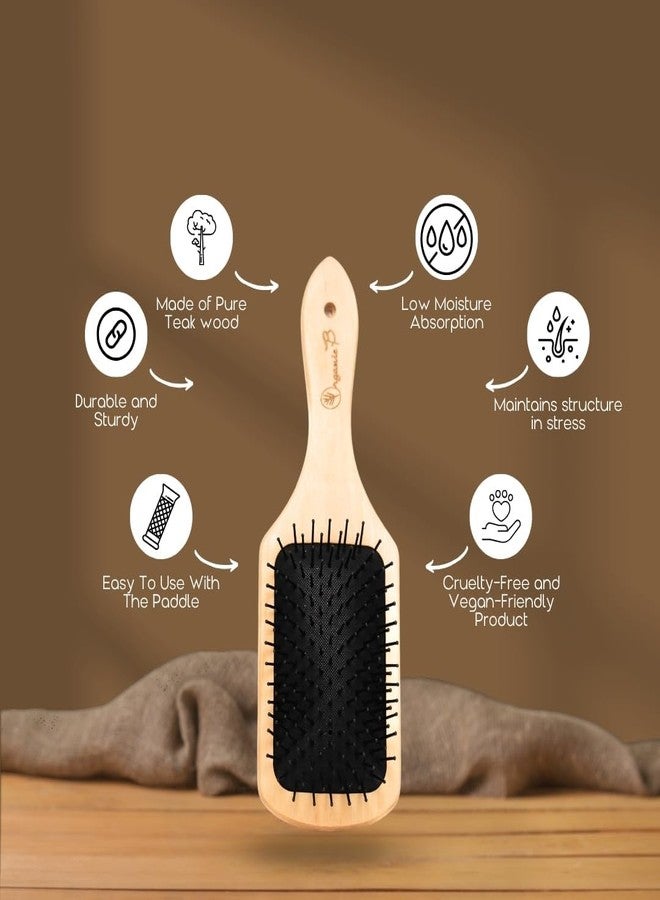 Organic B Wooden Hair Brush Comb for Women and Men, Paddle Cushion Comb Brush with Air Cushion, Nylon Bristles, Scalp Massage, Anti Static, Round Tip, Wood Handle, Salon Quality (Medium) - Image 3