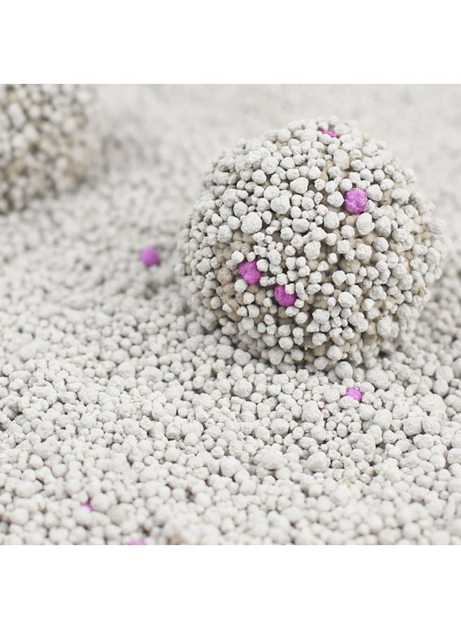 Bentonite Cat Litter - Fast Clumping, Ultra Absorbent, Low Dust, Fresh Scented, Odor Control, 5L, 2 Pack - Image 2