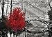 BBOLDIN Scarlet Solitude Classic Puzzles for Adults 1000 Pieces Black and White Bridge and Red Tree Jigsaw Puzzles Wall Art Puzzles for Adults Decor - Image 2