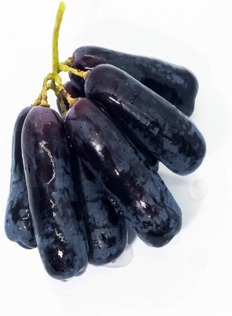GGOOT 1 Bag Grape Seeds Non-GMO Prolific Black Rich Vitamins Fruit Seeds for Garden Garden Seeds for Garden - Image 2