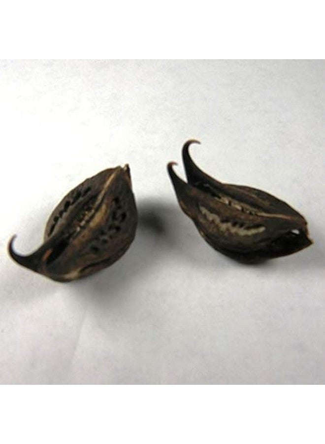 PMW حقيبة بغي نخي بيشهو فاله - كاكنسا مارتينيا أنوا 25 قطعة. - Image 2