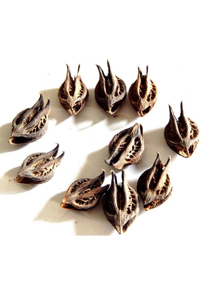 PMW حقيبة بغي نخي بيشهو فاله - كاكنسا مارتينيا أنوا 25 قطعة. - Image 3