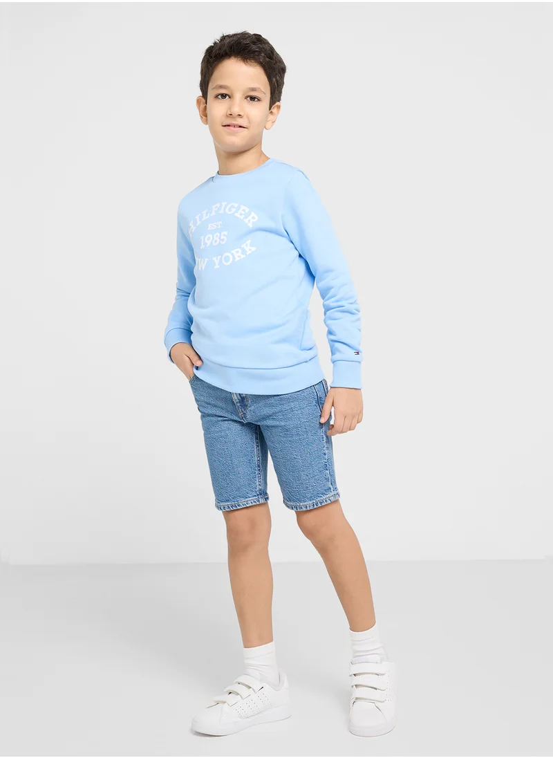 TOMMY HILFIGER MONOTYPE FLOCK REG SWEATSHIRT
