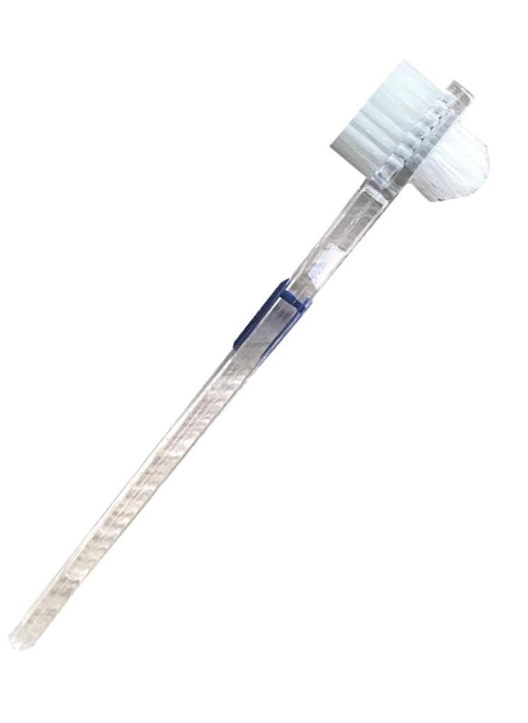 Healifty Brush Transparent Brush False Cleaning Brush Double-Sided Toothbrush Teeth Cleaning Tool  - Image 1