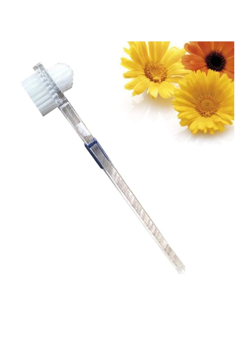 Healifty Brush Transparent Brush False Cleaning Brush Double-Sided Toothbrush Teeth Cleaning Tool  - Image 4