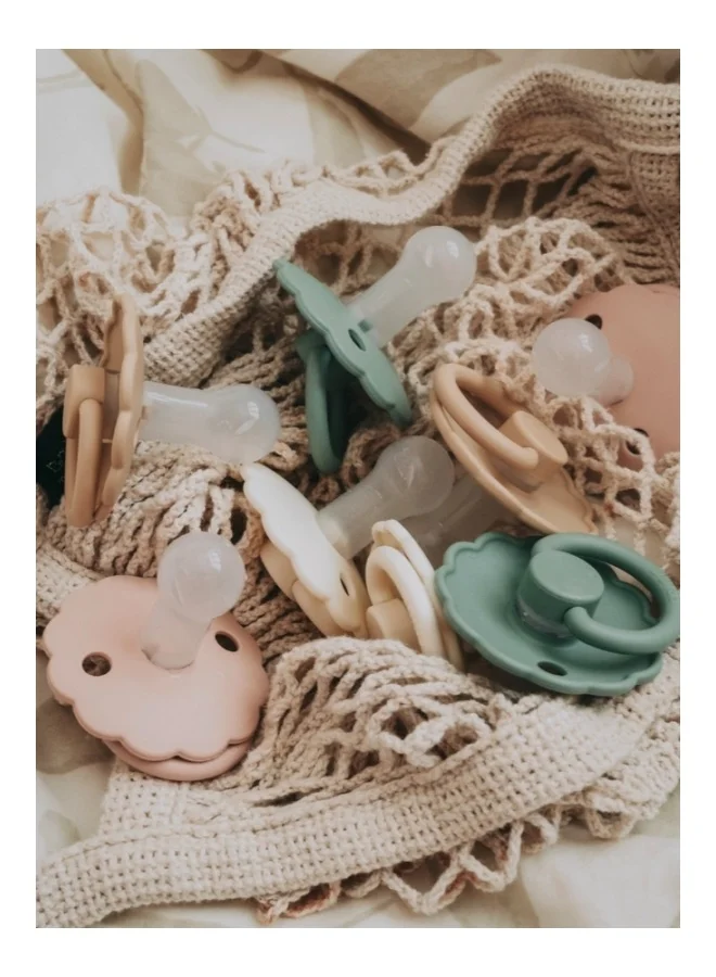 FRIGG Daisy Silicone Baby Pacifier 6-18M 2-Pack Blush/Woodchuck - Size 2