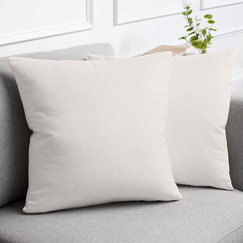 lalaLOOM Velvet Throw Pillow Covers Set of 2 18x18 Decorative Square Pillows Home Decor Soft Accent Cases Silky Machine Washable Pillowcases for Sofa Couch Bedroom Living Room Cream