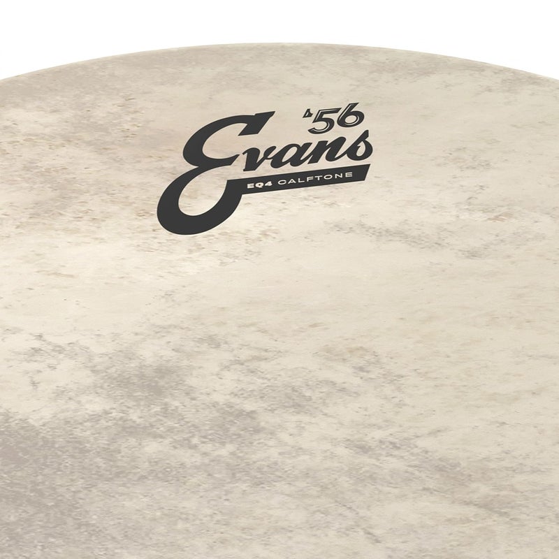 EVANS EQ4 Calftone Bass Drum Head, 16" - Image 2