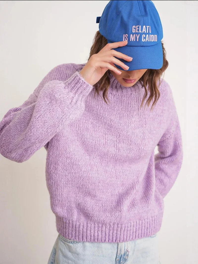 Mixray Lilac Purple Mixray Relaxed Fit Crew Neck Thick Knit Sweater for Women | Best Price UAE