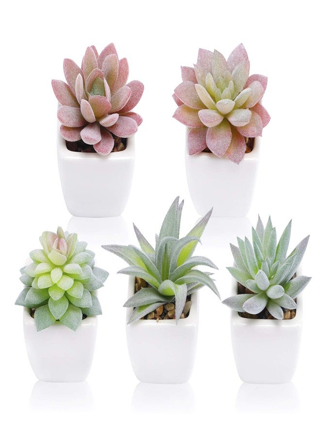 FUNARTY 5pcs Artificial Succulent Plants, Small Fake Desk Plants Mini Succulents Indoor for Shelf Living Room Bedroom Windowsills Office Home Decoration (Include White Ceramic Pots) - Image 1