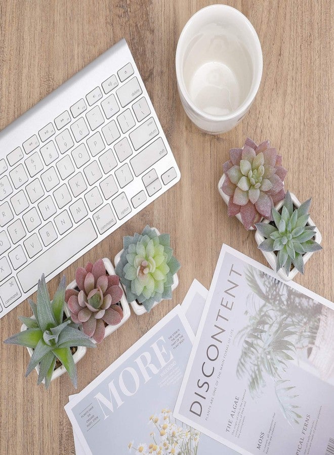 FUNARTY 5pcs Artificial Succulent Plants, Small Fake Desk Plants Mini Succulents Indoor for Shelf Living Room Bedroom Windowsills Office Home Decoration (Include White Ceramic Pots) - Image 5