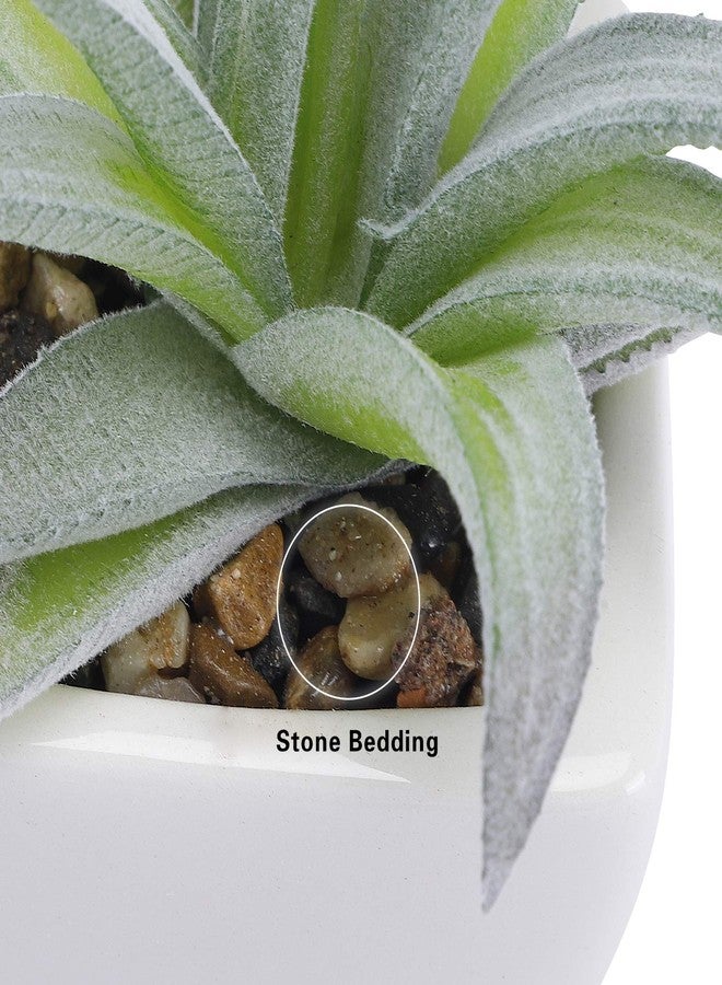 FUNARTY 5pcs Artificial Succulent Plants, Small Fake Desk Plants Mini Succulents Indoor for Shelf Living Room Bedroom Windowsills Office Home Decoration (Include White Ceramic Pots) - Image 4
