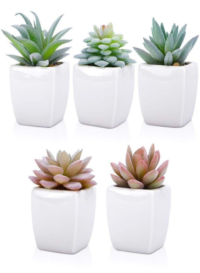 FUNARTY 5pcs Artificial Succulent Plants, Small Fake Desk Plants Mini Succulents Indoor for Shelf Living Room Bedroom Windowsills Office Home Decoration (Include White Ceramic Pots) - Image 3