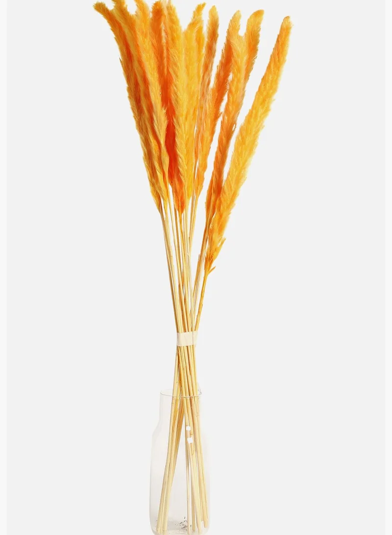 Bonhomie Decorative Pampas Grass Natural Flower Bouqet