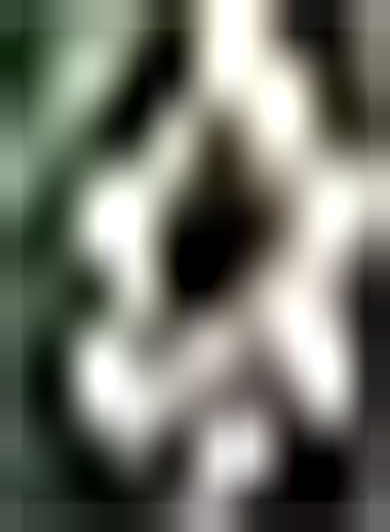 GGOOT 2pcs Amaryllis Zwiebeln für die Zimmerpflanzung Erbpcs Amaryllis Gewächshaus Aussaat Schnittblumen Dekoration hoher Zierwert - Image 1