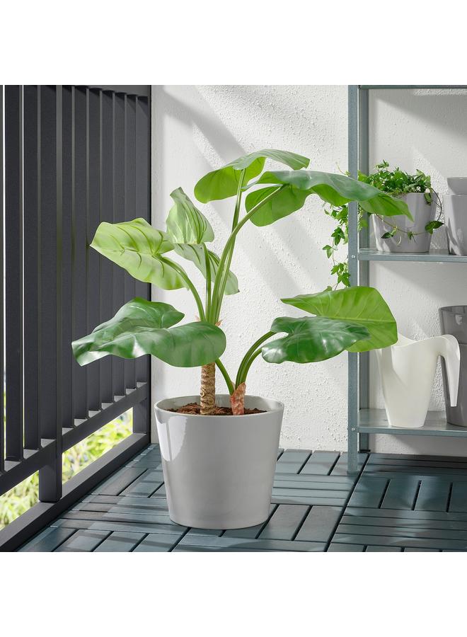 إيروريكس وعاء نباتات، للاستخدام الداخلي/الخارجي، رمادي، 24 سم - Image 3