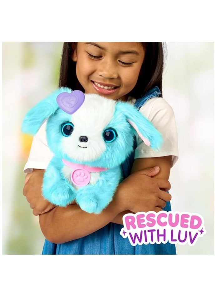 Scruff a luvs Scruff-A-Luvs Mystery Rescue Pet Single Pack – Blue | Wash, Groom & Reveal Plush Puppy, Kitty or Bunny | Includes Carrier, Brush, Collar & Adoption Certificate - Image 2