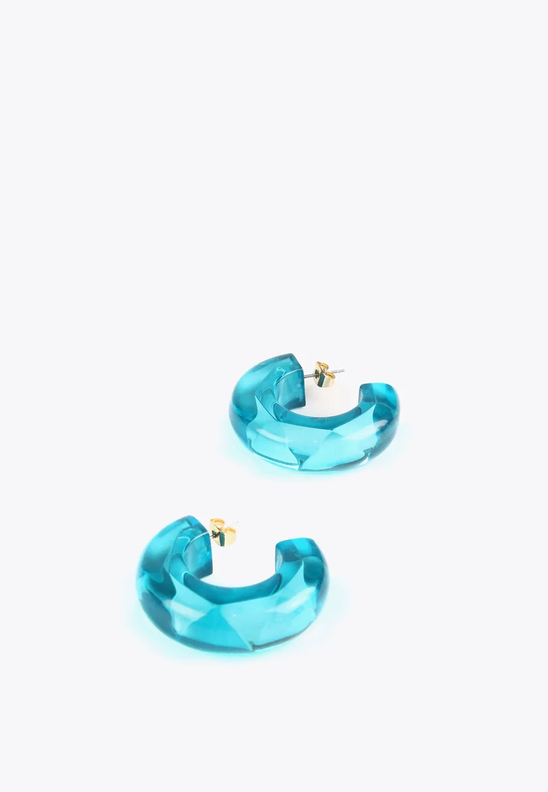 Lola Casademunt Thick hoop earrings