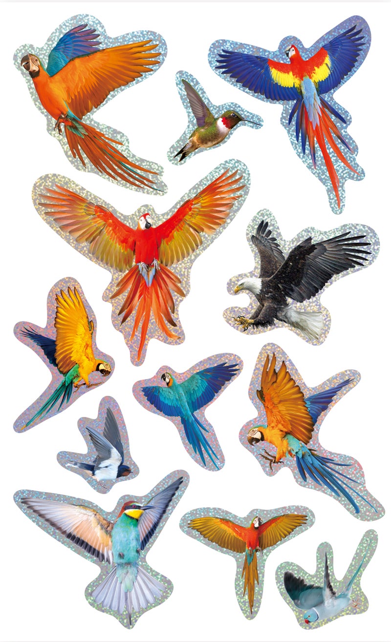 Avenir - Natural Creation 3D Bird Stickers – 12 Puffy Decorative Stickers | Creative Craft & Scrapbooking Stickers for Kids, Journals, Cards & Gifts - Image 2