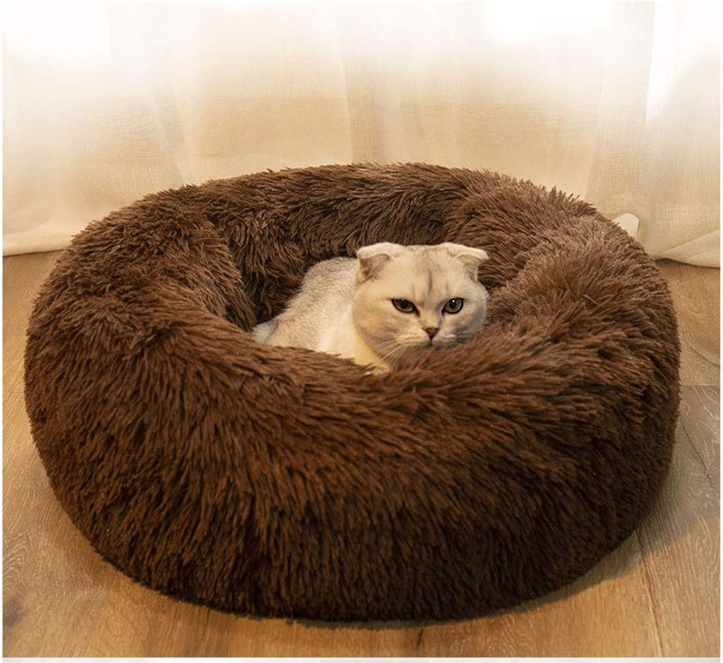 Modern Soft Plush Round Pet Bed for Cats or Small Dogs, Mini Medium Sized Dog Cat Bed Self Warming Autumn Winter Indoor Snooze Sleeping Cozy Kitty Teddy Kennel (M(23.6”Dx7.9 H), Chocolate) | Plush Puppy Bed and Cat Bed for Pets up to 25 lb, High-Loft Polyester Fill with Water-Resistant Non-Skid Base for Indoor Use - Image 2