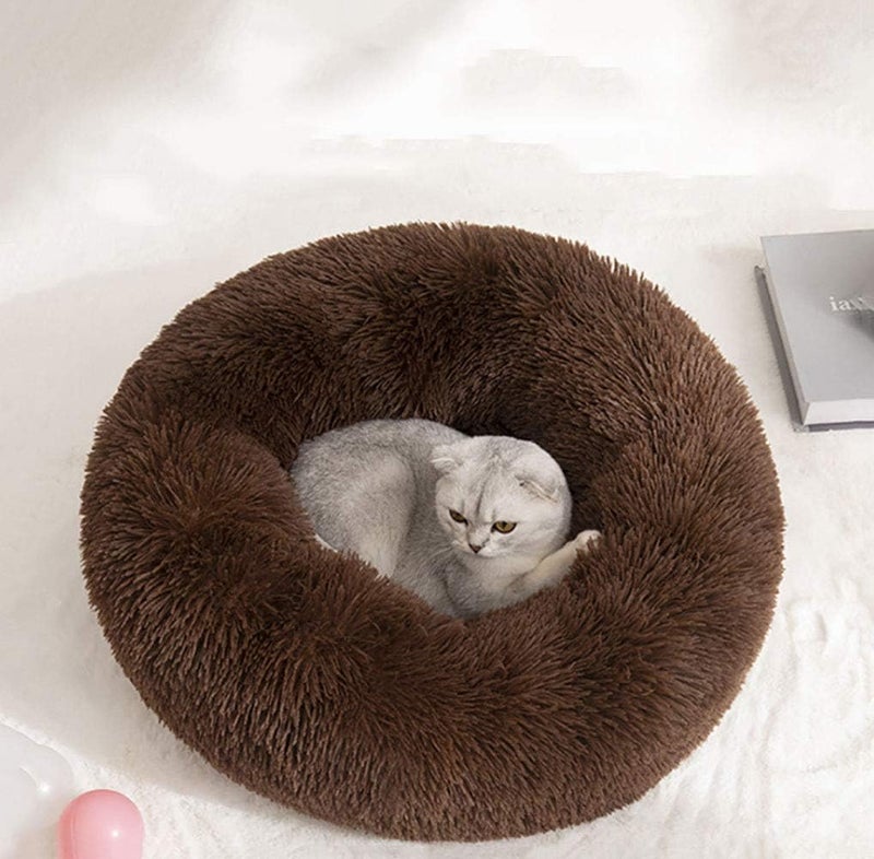 Modern Soft Plush Round Pet Bed for Cats or Small Dogs, Mini Medium Sized Dog Cat Bed Self Warming Autumn Winter Indoor Snooze Sleeping Cozy Kitty Teddy Kennel (M(23.6”Dx7.9 H), Chocolate) | Plush Puppy Bed and Cat Bed for Pets up to 25 lb, High-Loft Polyester Fill with Water-Resistant Non-Skid Base for Indoor Use - Image 3