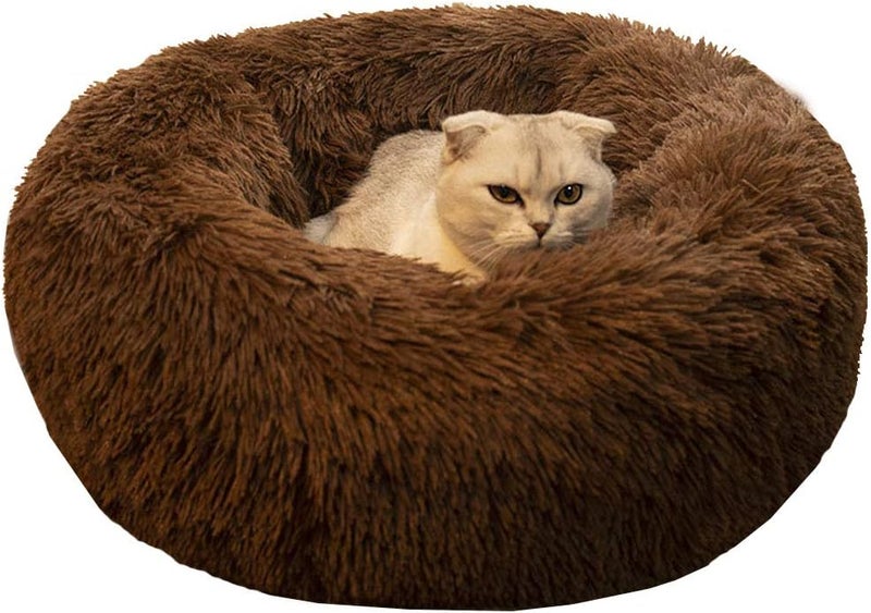 Modern Soft Plush Round Pet Bed for Cats or Small Dogs, Mini Medium Sized Dog Cat Bed Self Warming Autumn Winter Indoor Snooze Sleeping Cozy Kitty Teddy Kennel (M(23.6”Dx7.9 H), Chocolate) | Plush Puppy Bed and Cat Bed for Pets up to 25 lb, High-Loft Polyester Fill with Water-Resistant Non-Skid Base for Indoor Use - Image 1