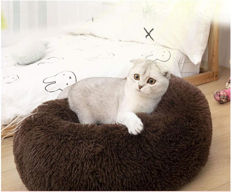 Modern Soft Plush Round Pet Bed for Cats or Small Dogs, Mini Medium Sized Dog Cat Bed Self Warming Autumn Winter Indoor Snooze Sleeping Cozy Kitty Teddy Kennel (M(23.6”Dx7.9 H), Chocolate) | Plush Puppy Bed and Cat Bed for Pets up to 25 lb, High-Loft Polyester Fill with Water-Resistant Non-Skid Base for Indoor Use - Image 4