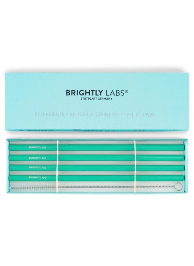 BRIGHTLY LABS Stainless Steel Straw Reusable Metal Drinking Straw With Cleaner Brush For Home Party Barware Bar Accessories, Set of 4 (Green) and Cleaning Brush  - Image 4