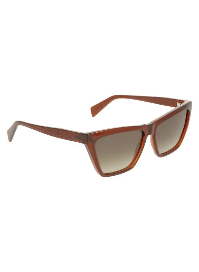 Liu Jo  Cat_Eye Sunglasses for Women | Best Price UAE