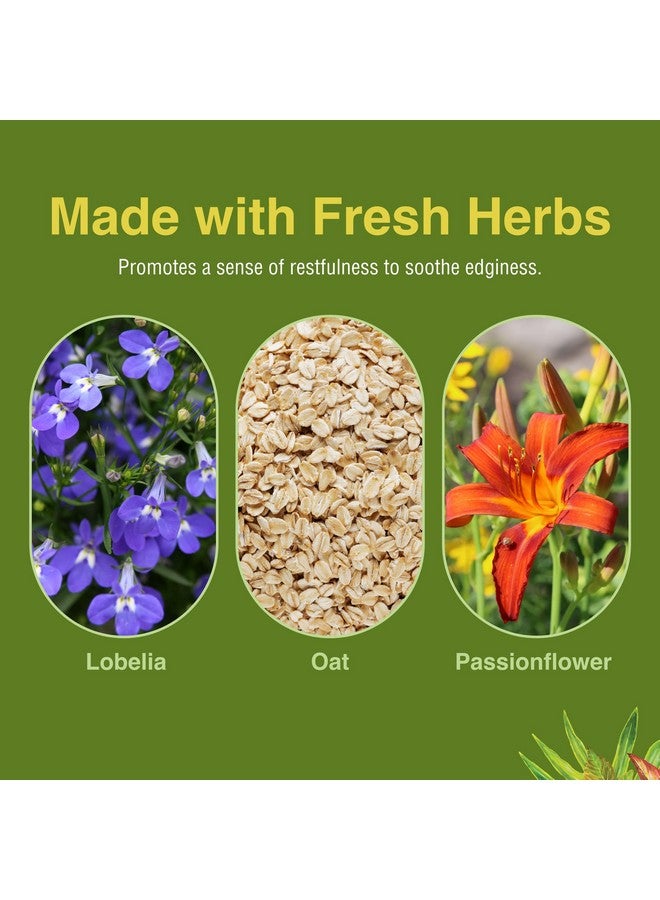 HERBS ETC. أعشاب وغيرها. خالية من الدخان - دعم أثناء الإقلاع - دعم صحي للجهاز التنفسي - يساعد ضد التوتر والمزاج السيء - 60 كبسولة لينة (60 حصة) - Image 5