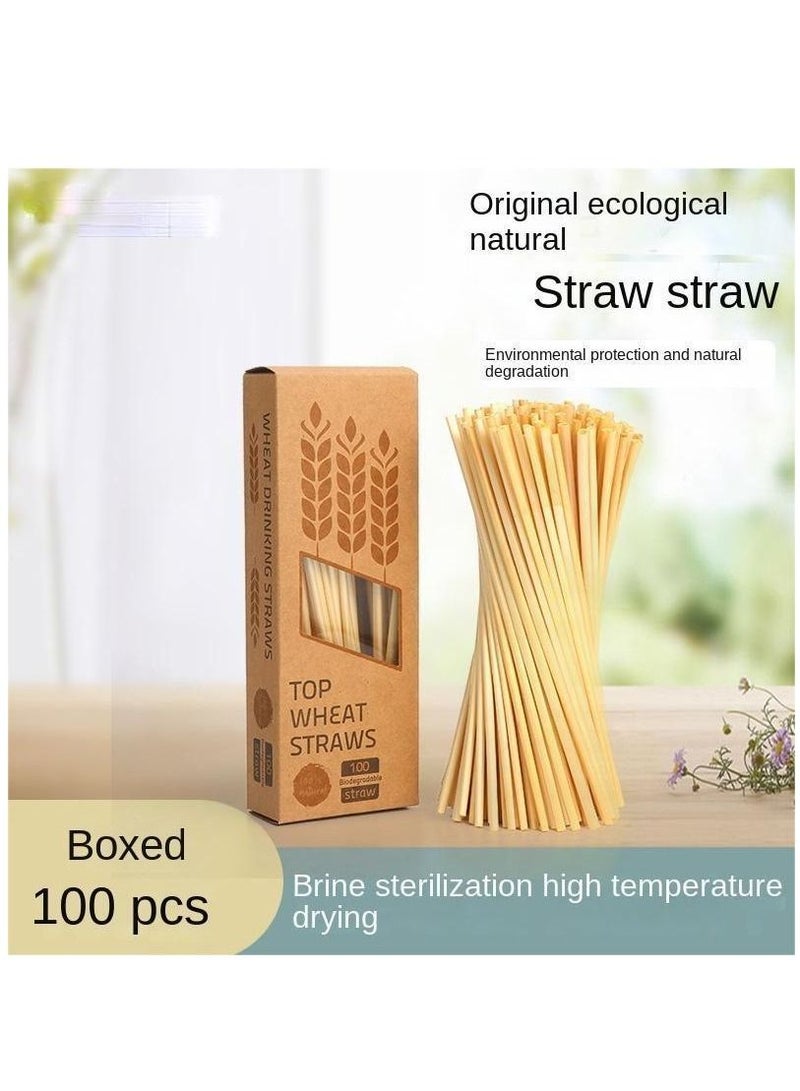 Y&D 100-Piece Plant Wheat Straws Set - Image 1