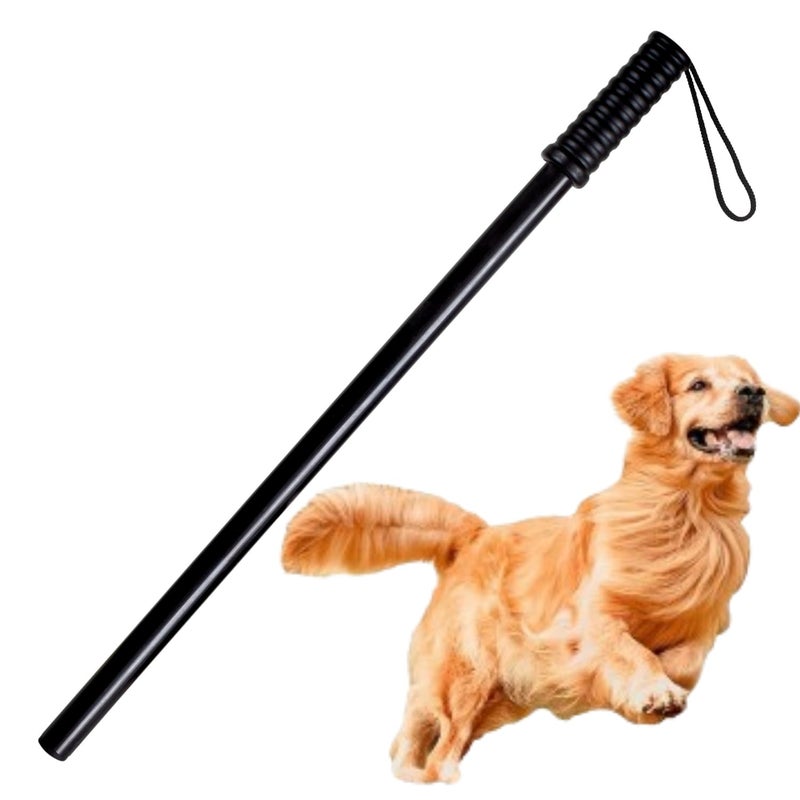 FAB TECH Dog Training Plastic Stick | Easy to Use | Length: 60 cm/1.9 Feet | Used for Training and Walking, Keeps You and Your Pet Safe from Stray Animals - Image 1