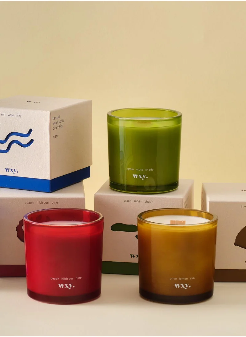 WXY Roam Mini Candle – Peach Hibiscus Pine  Amber & Umbra Collection  Luxury Scented Candle in Glass Base – Perfect for Gifting