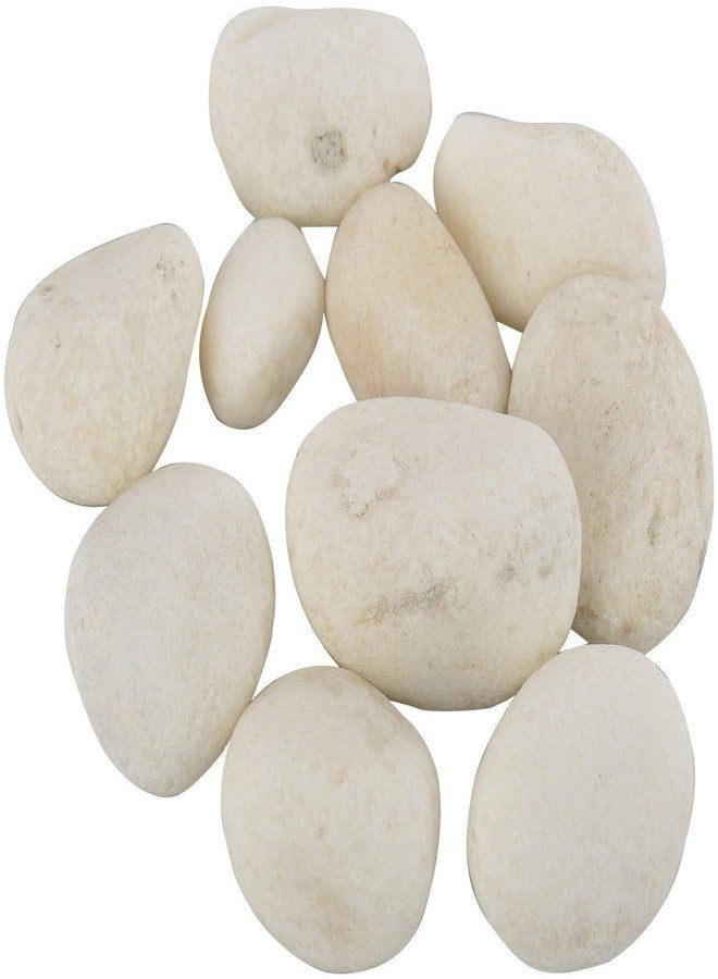 Choostix Aquachoo Aquarium Décor, Substrate, River Pebbles and Gravel, Dumbell, Transulent Hexagon, Multicolor - Image 2