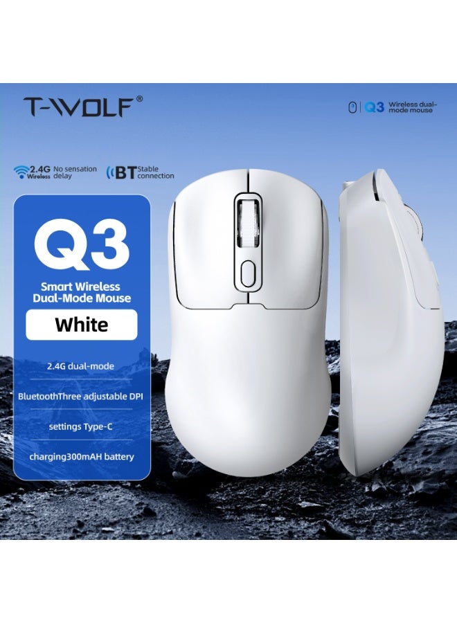T-WOLF Q3 dual-mode wireless charging computer portable office gaming mouse is unique, featuring a silent button and a 3-level DPI mouse - Image 1