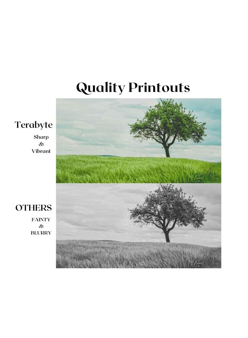 TERABYTE TONER CARTRIDGE TN210 CYAN - Image 2