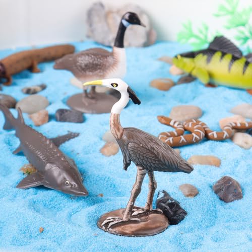 AENIMELY 14PCS Lake Animal Figurines Realistic Canadian Wildlife Toys for Kids North American Animal Models for STEM Learning Cake Toppers Science Projects Educational Gifts - Image 5