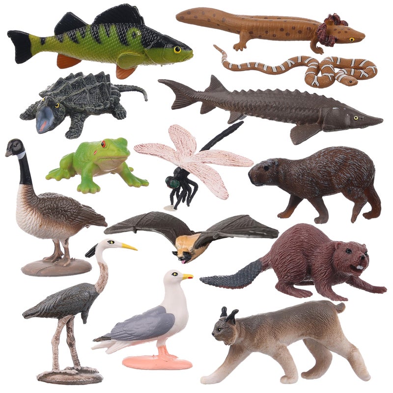 AENIMELY 14PCS Lake Animal Figurines Realistic Canadian Wildlife Toys for Kids North American Animal Models for STEM Learning Cake Toppers Science Projects Educational Gifts - Image 3