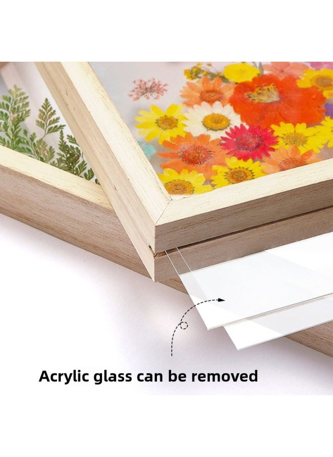 Generic - Acrylic Dried Flower Photo Frame Transparent Frame Handmade DIY Glass Painting Embossed Plant Specimen Solid Wood Display Frame-Color:Other Sizes: 5 Sets Of Special Paint Combinations For 12 Colors Of Glass Painting - Image 1