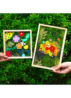 Acrylic Dried Flower Photo Frame Transparent Frame Handmade DIY Glass Painting Embossed Plant Specimen Solid Wood Display Frame-Color:Other Sizes: 5 Sets Of Special Paint Combinations For 12 Colors Of Glass Painting