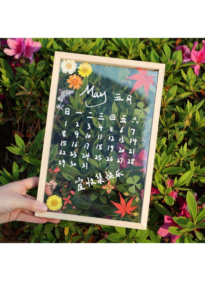 Generic - Acrylic Dried Flower Photo Frame Transparent Frame Handmade DIY Glass Painting Embossed Plant Specimen Solid Wood Display Frame-Color:Other Sizes: 5 Sets Of Special Paint Combinations For 12 Colors Of Glass Painting - Image 1