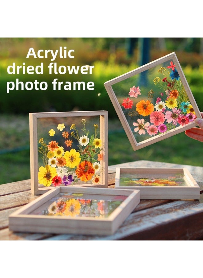 Generic - Acrylic Dried Flower Photo Frame Transparent Frame Handmade DIY Glass Painting Embossed Plant Specimen Solid Wood Display Frame-Color:Other Sizes: 5 Sets Of Special Paint Combinations For 12 Colors Of Glass Painting - Image 1